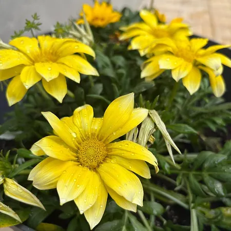 Aria Di Casa Casa de Férias